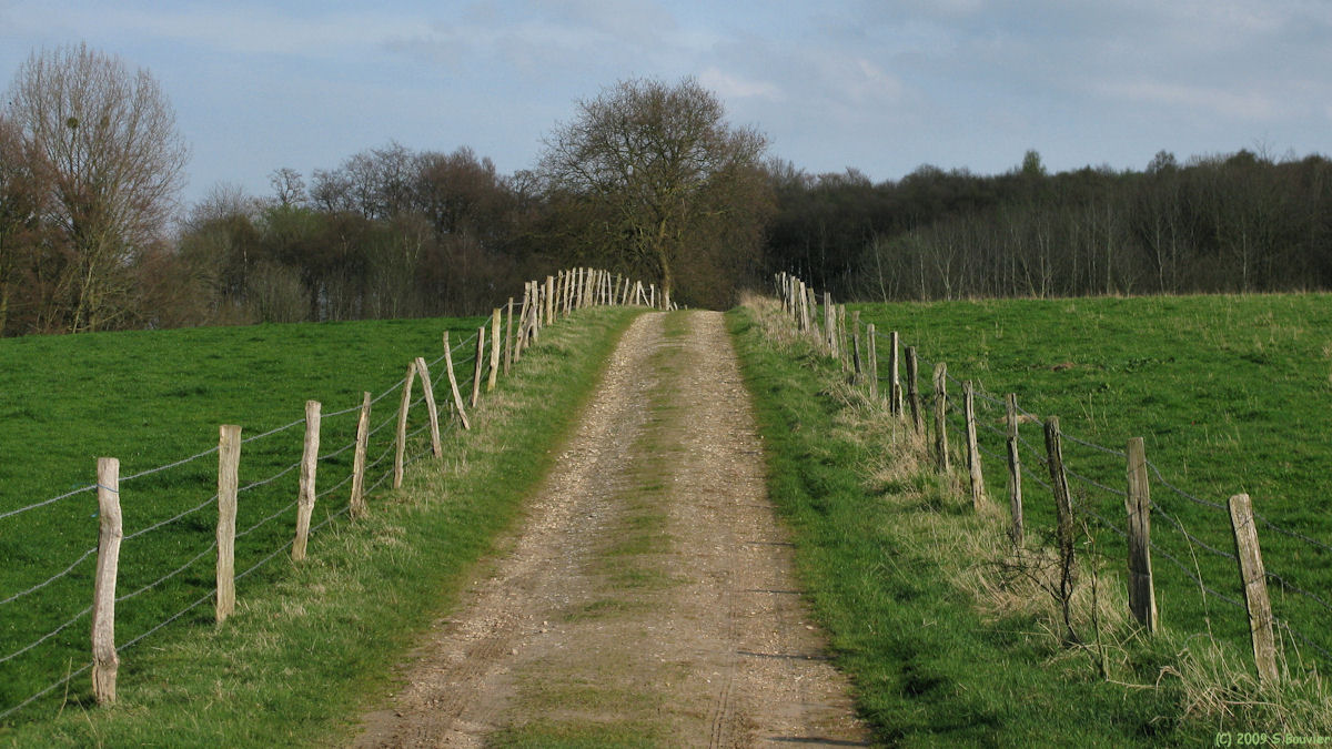 Etalleville (Chemin 2)