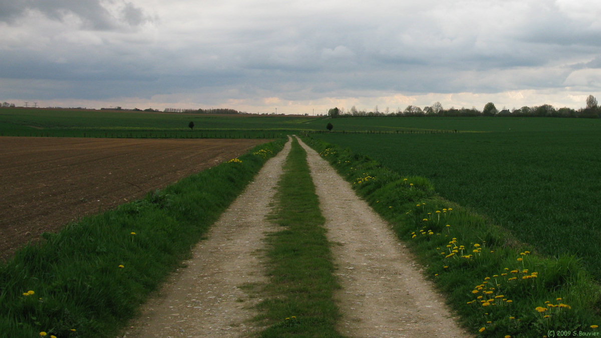 Butot (Chemin)