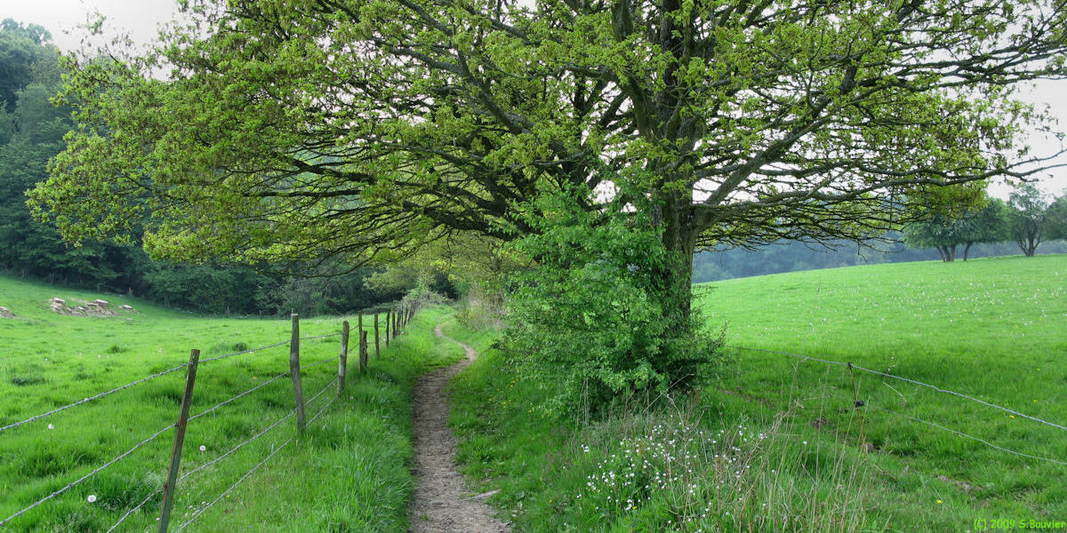 Sierville (Sentier)
