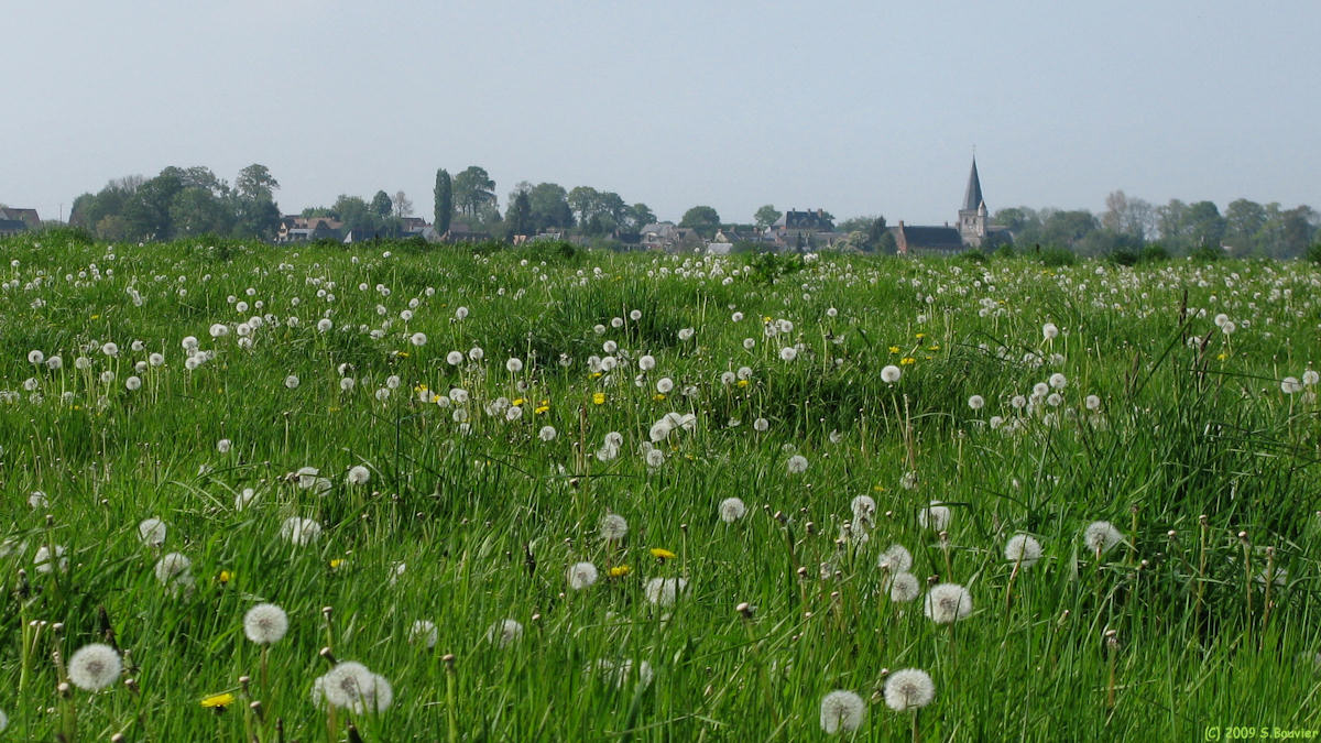 Fresquiennes (Village 2)