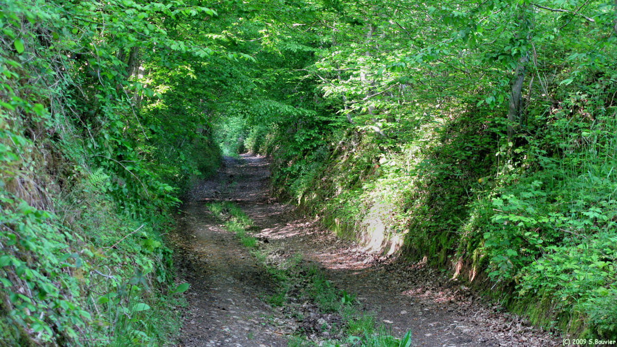 Fresquiennes (Chemin)