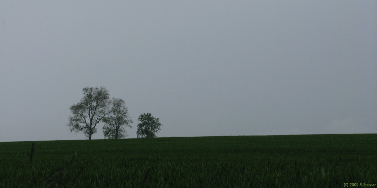 Emanville (Trois Arbres)