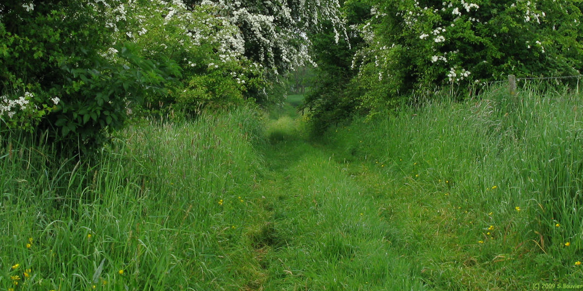Limésy (Chemin 2)