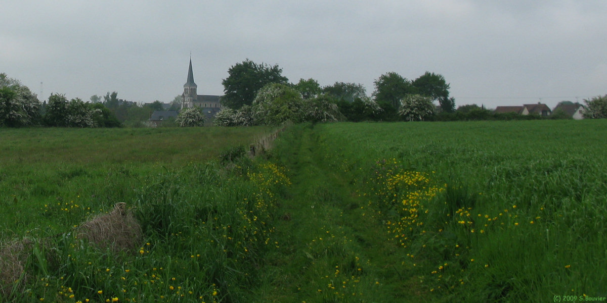Limésy (Chemin 3)