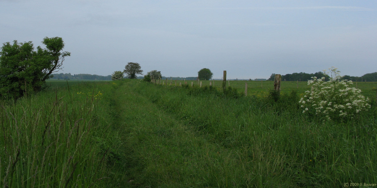 Oisemont (Chemin 2)