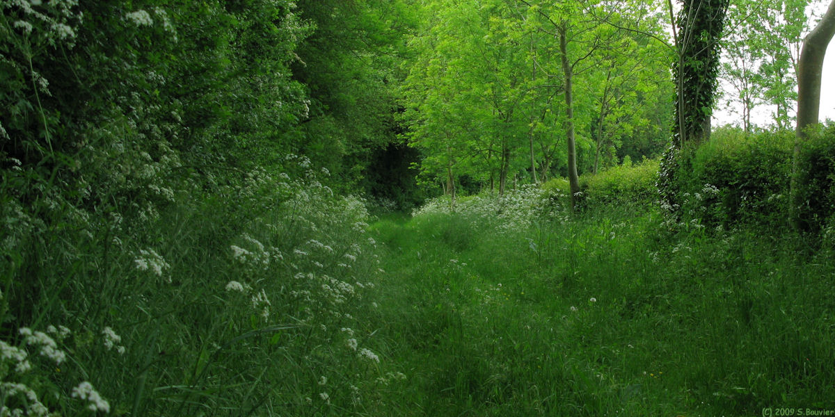 Aumâtre (Chemin)