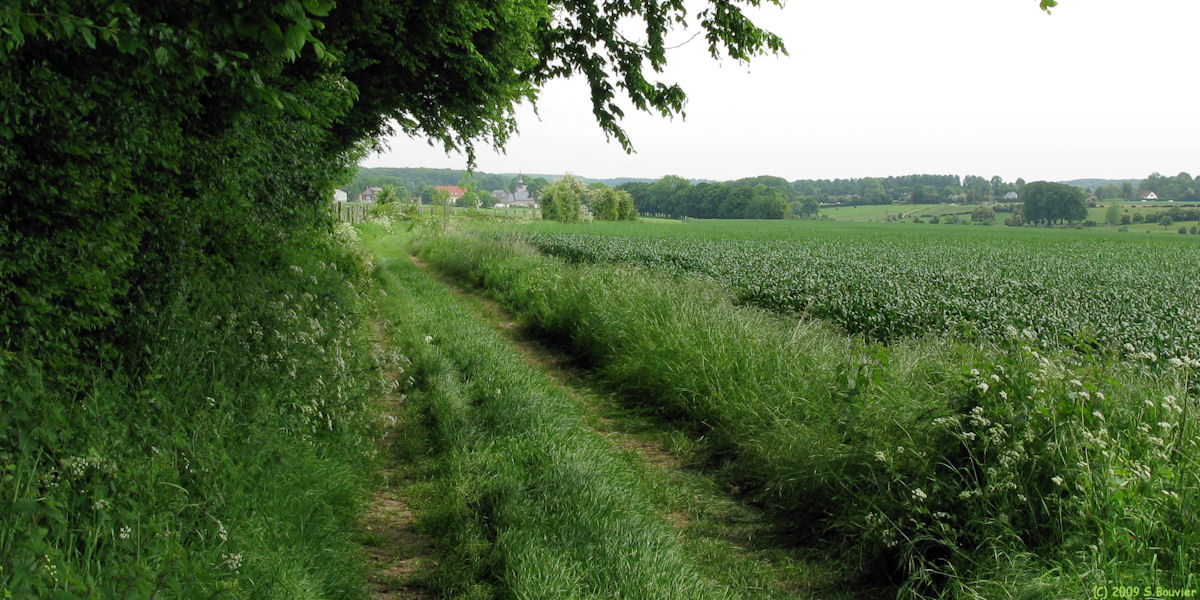 Frettecuisse (Chemin)