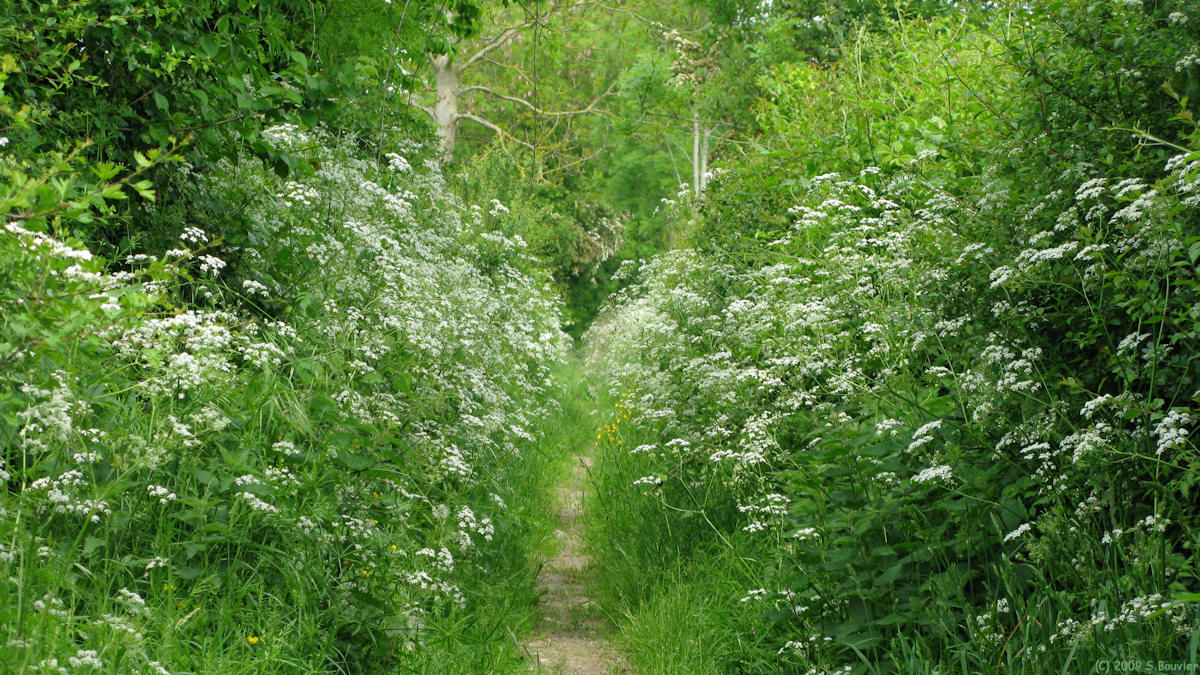 Frettecuisse (Sentier)