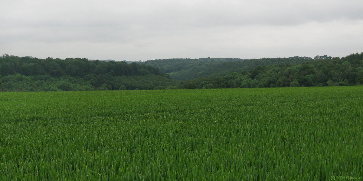 Barentin (Vallons)