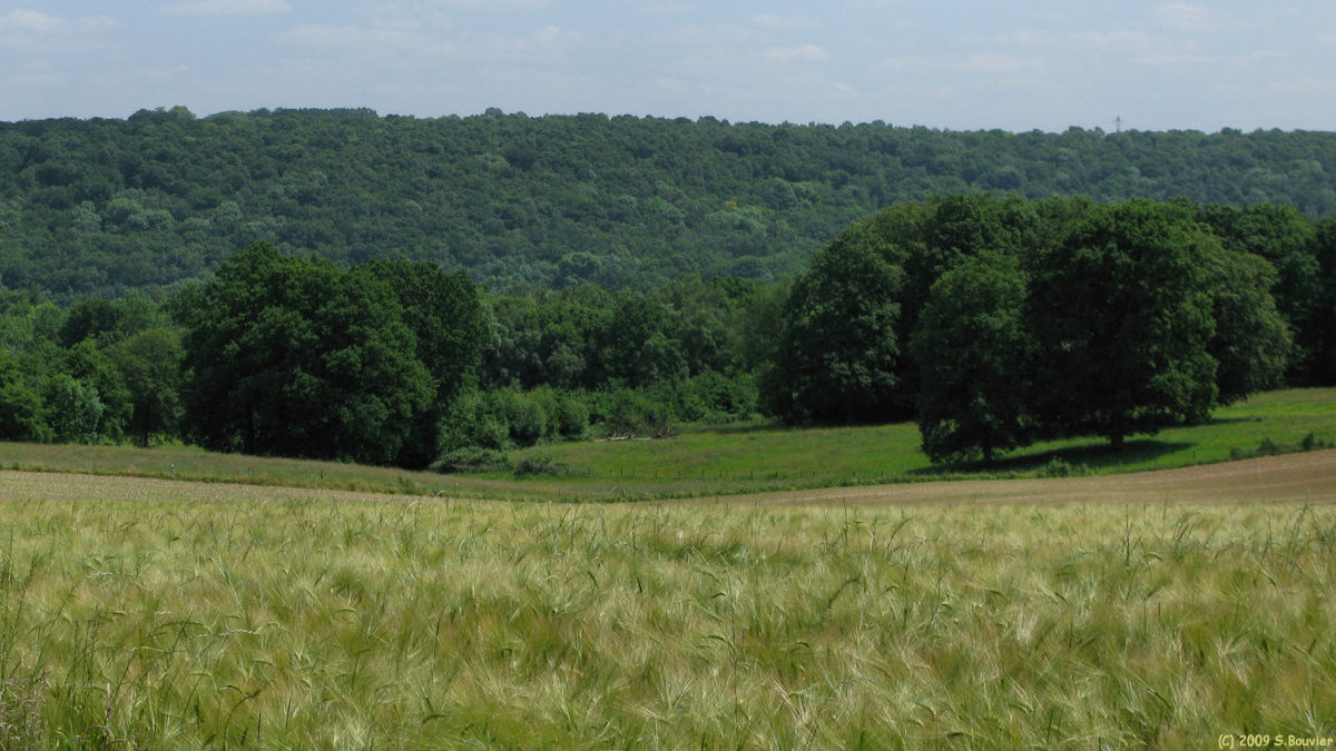 St Paër (Vallée 1)
