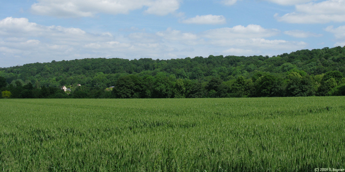 St Paër (Vallée 2)
