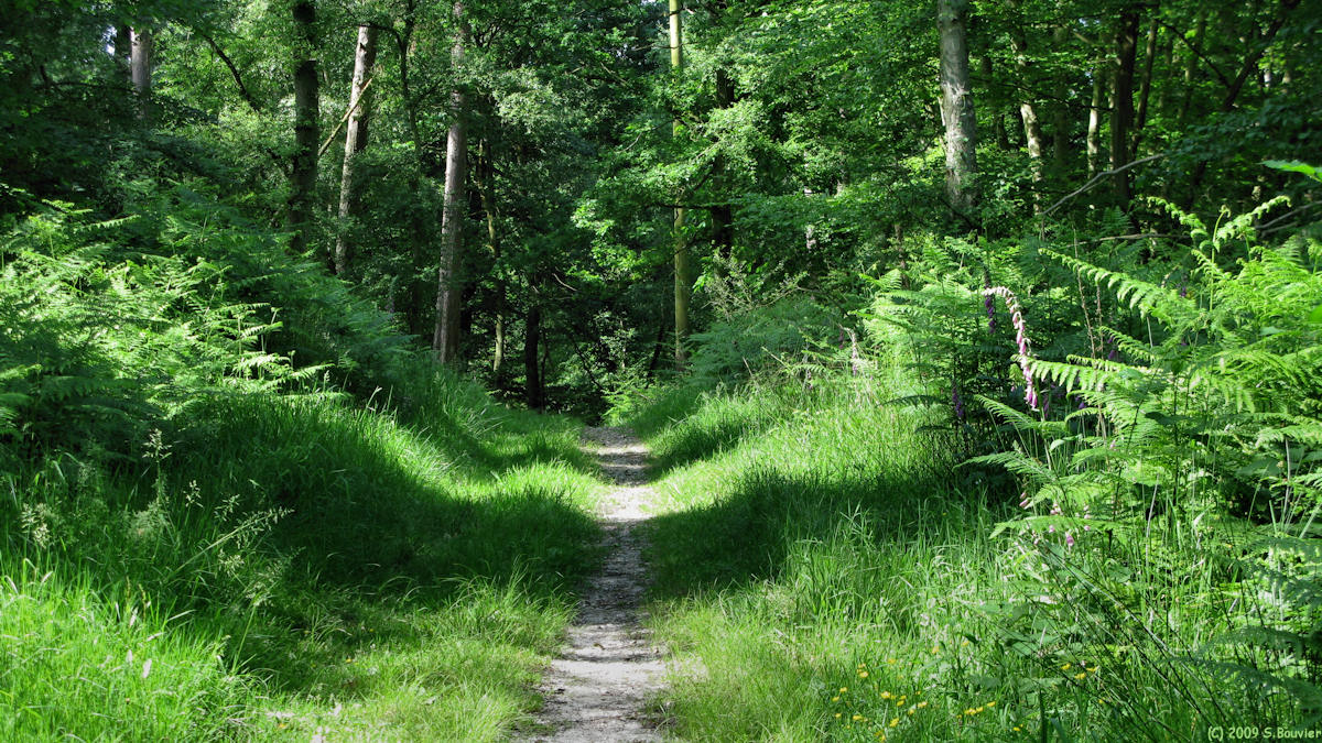 Le Trait (Chemin)