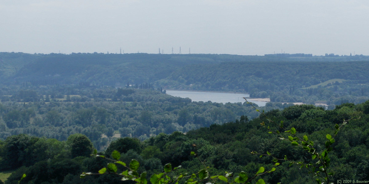 Forêt de Roumare (Seine 2)