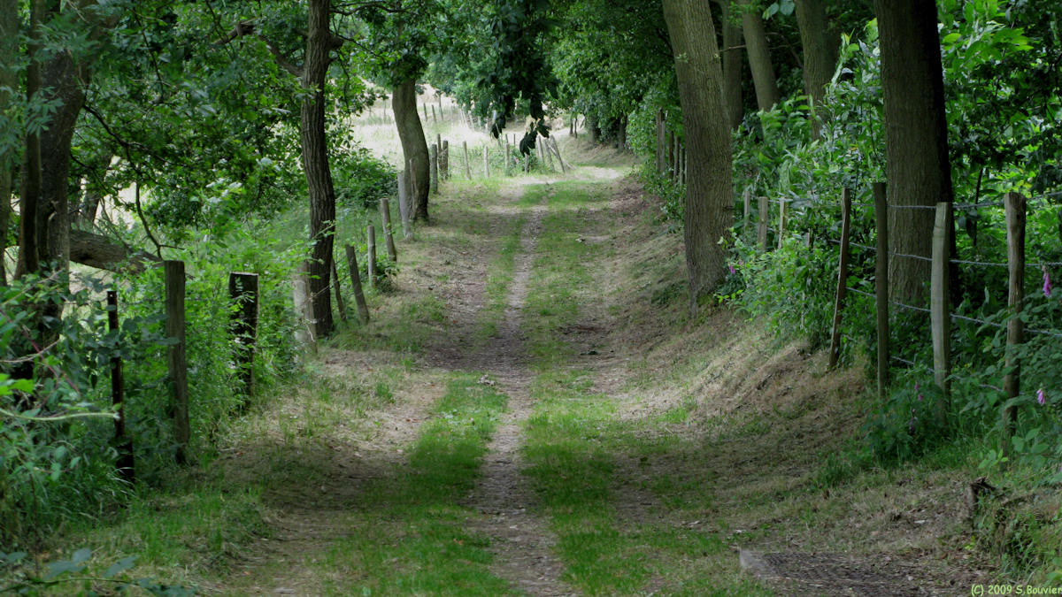 Amfreville la Mi-Voie (Chemin)