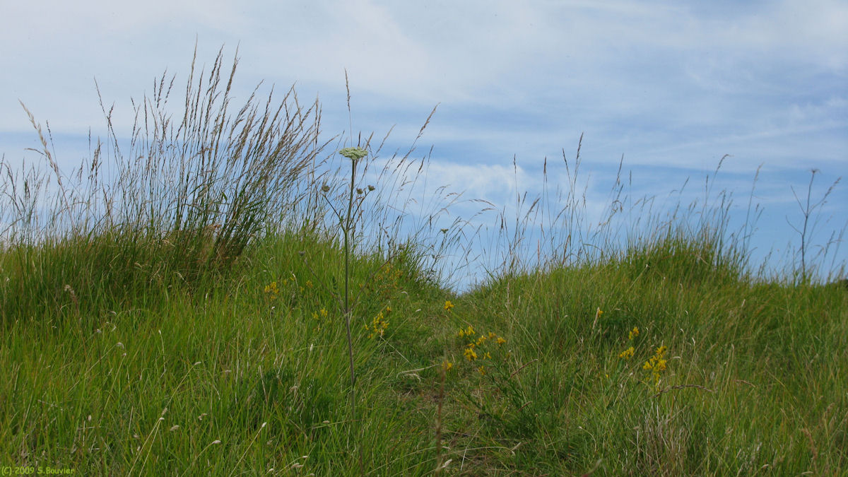 Belbeuf (Sentier)