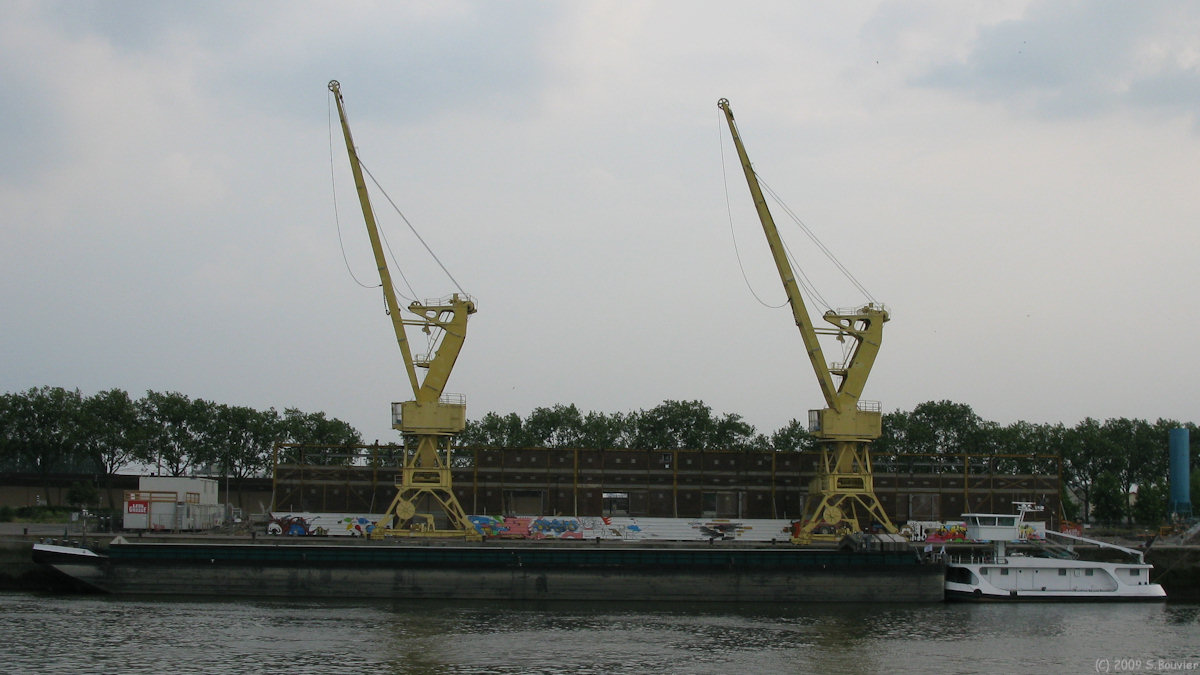 Rouen (Grues)