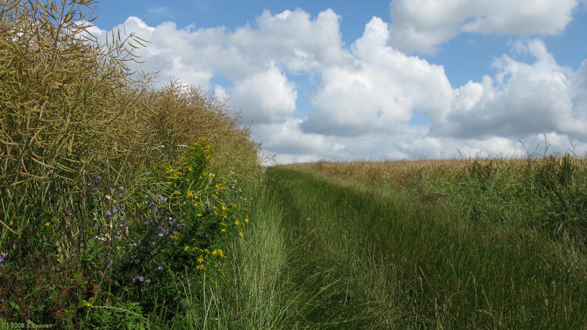 Fresneaux Montchevreuil (Chemin 1)