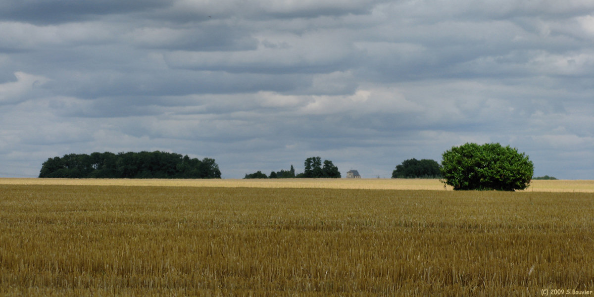 Montherlant (Chaumes 2)