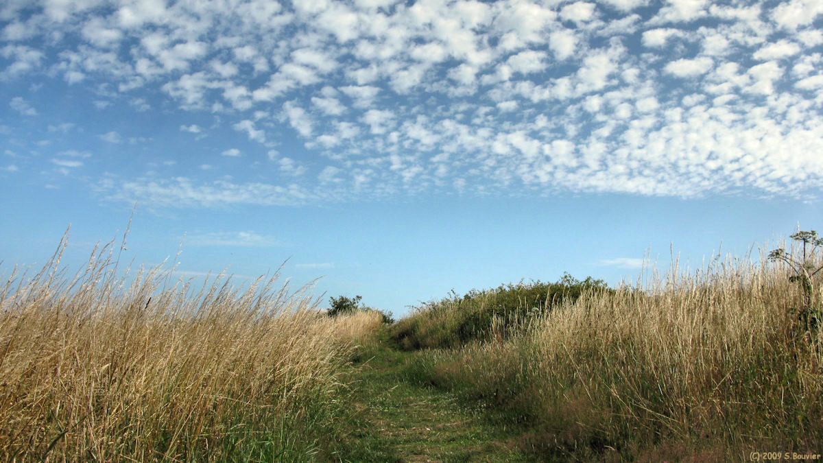 Dieppe (Sentier 1)