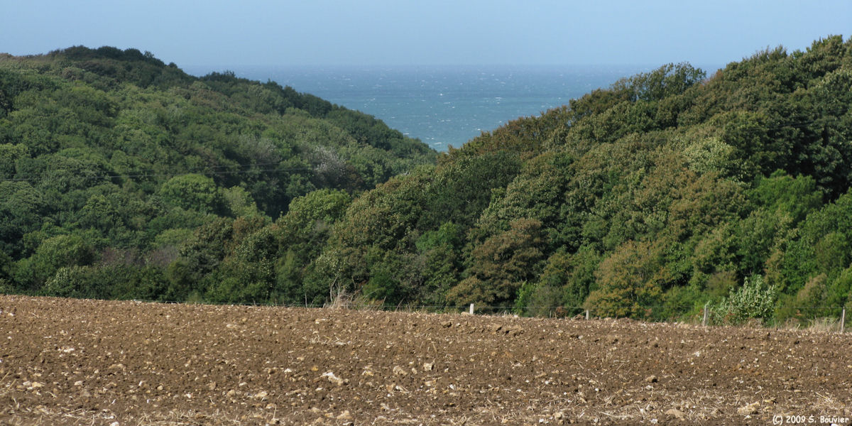 Ecretteville sur Mer (Mauvard)