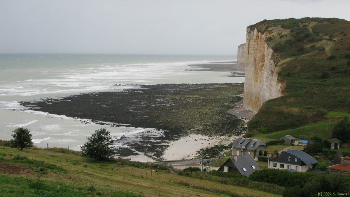 Sassetot le Mauconduit (Grandes Dalles)