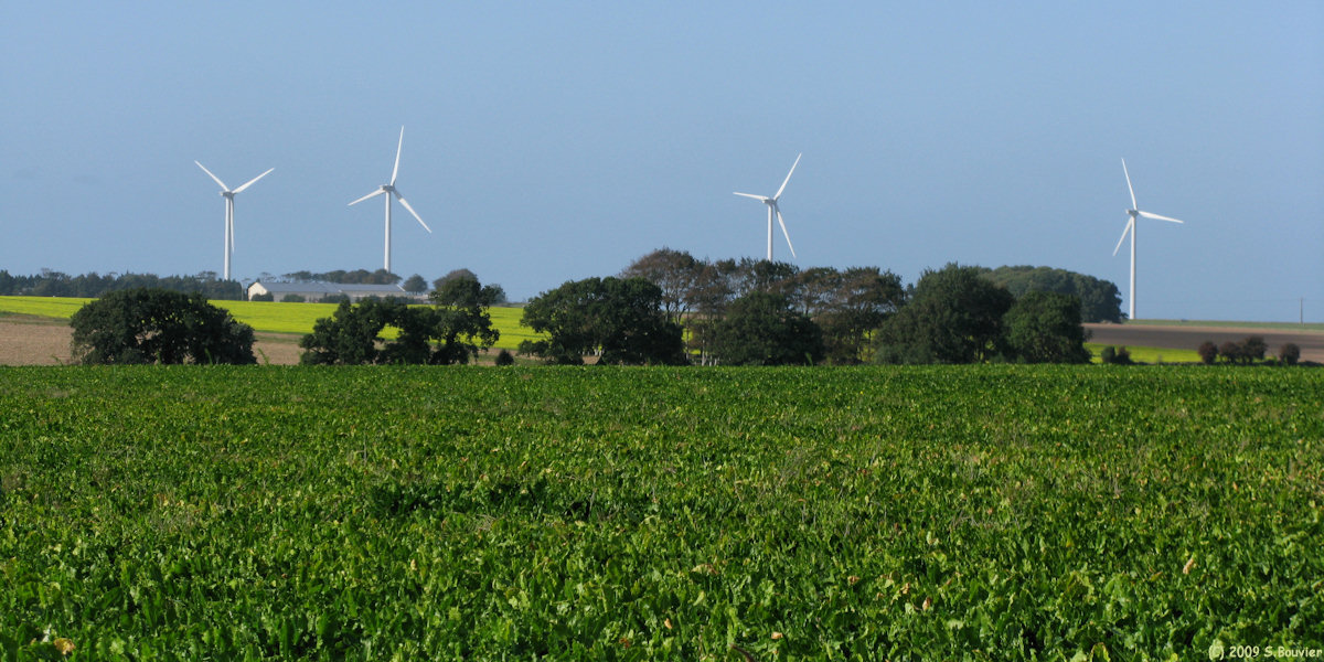 Butot Vénesville (Eoliennes)
