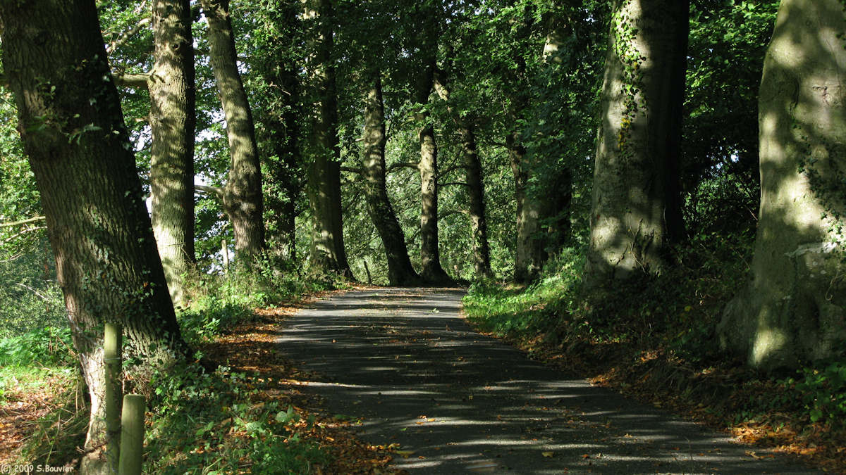 Butot Vénesville (Route)