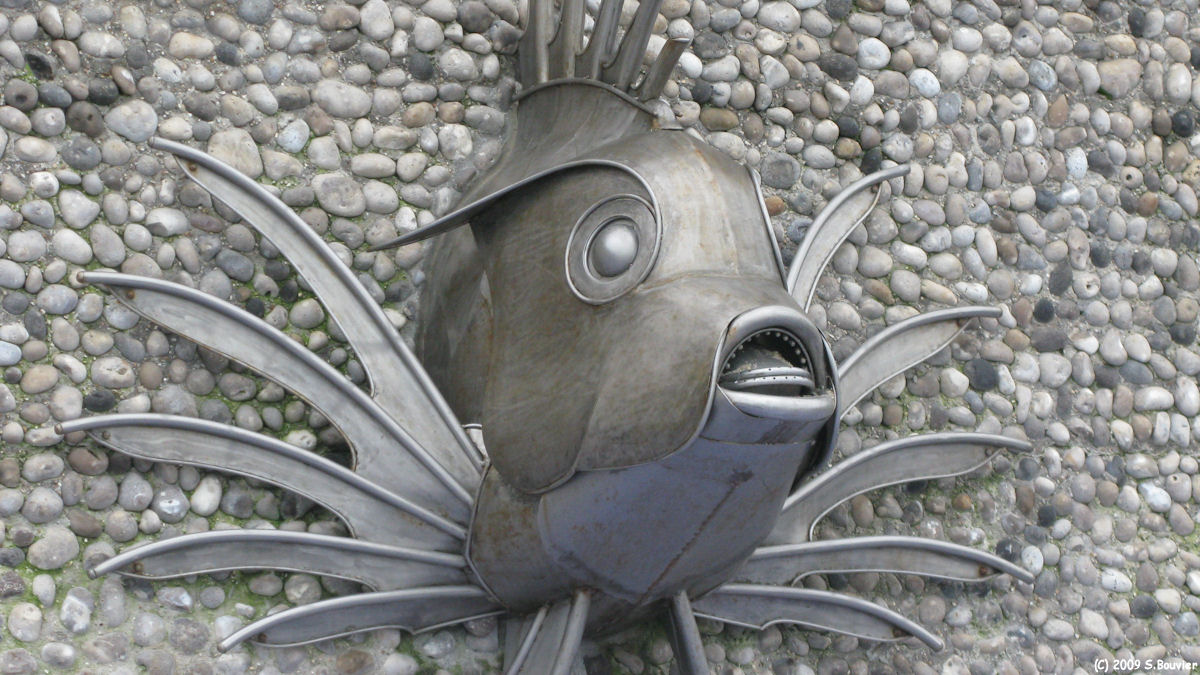 Yport (Poisson)