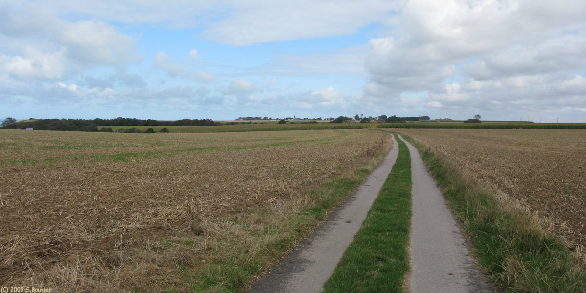 Senneville sur Fécamp (Chemin)