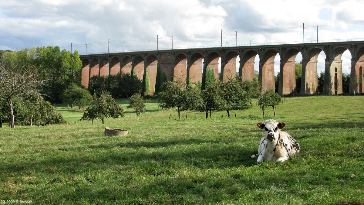 Mirville (Viaduc 3)