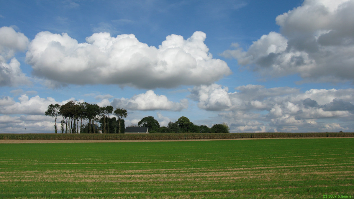 Houquetot (Plaine)