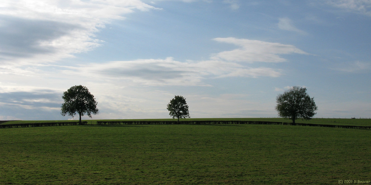 Bosc Mesnil (Trois Arbres 2)