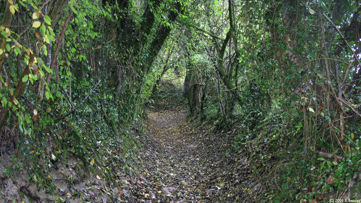 Bully (Chemin 1)