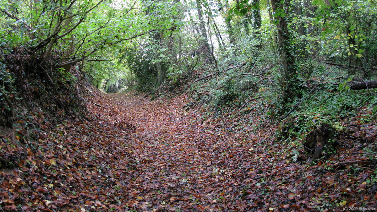 Bully (Chemin 2)