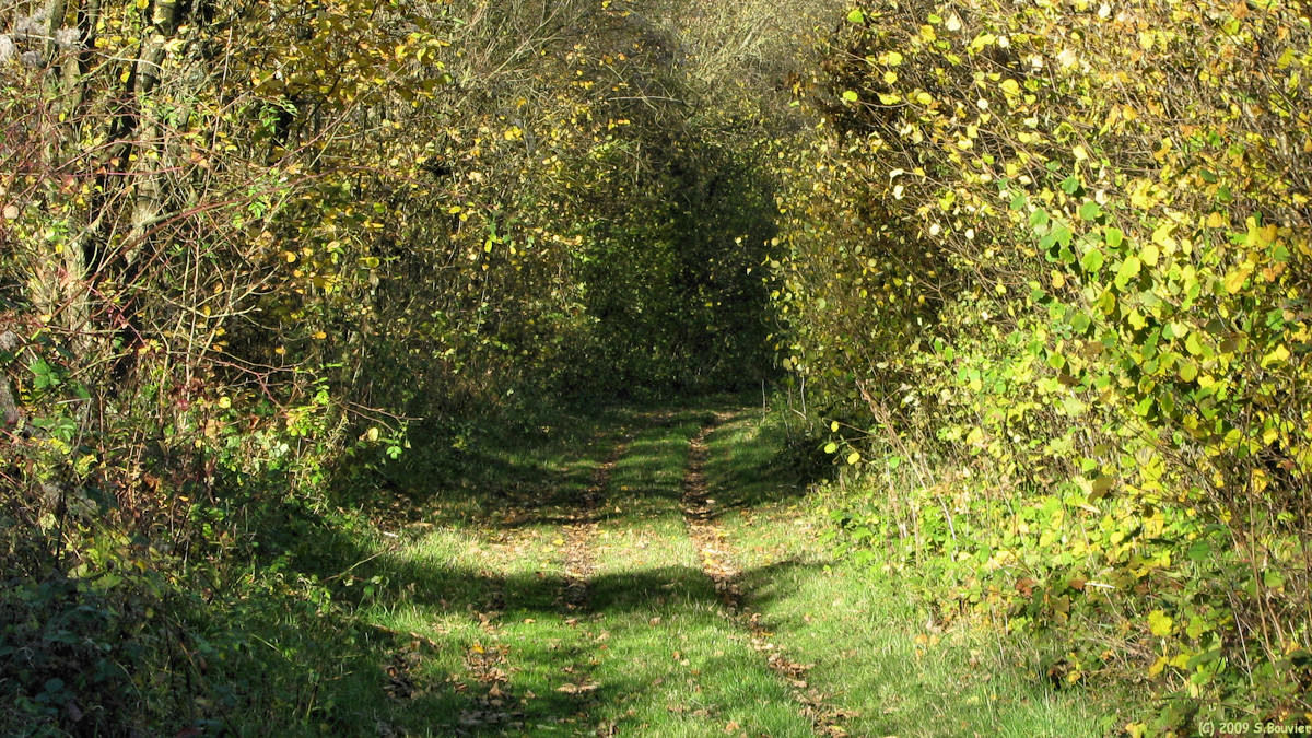 Guilmécourt (Chemin Vert 1)