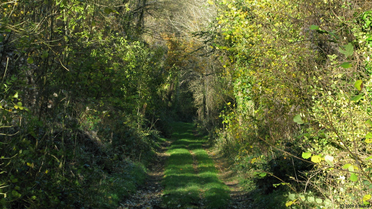 Guilmécourt (Chemin Vert 2)