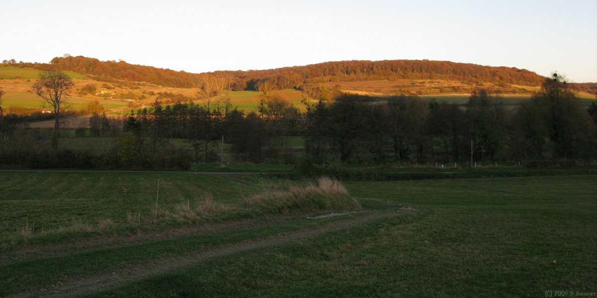 St Martin le Gaillard (Bois du Tost)