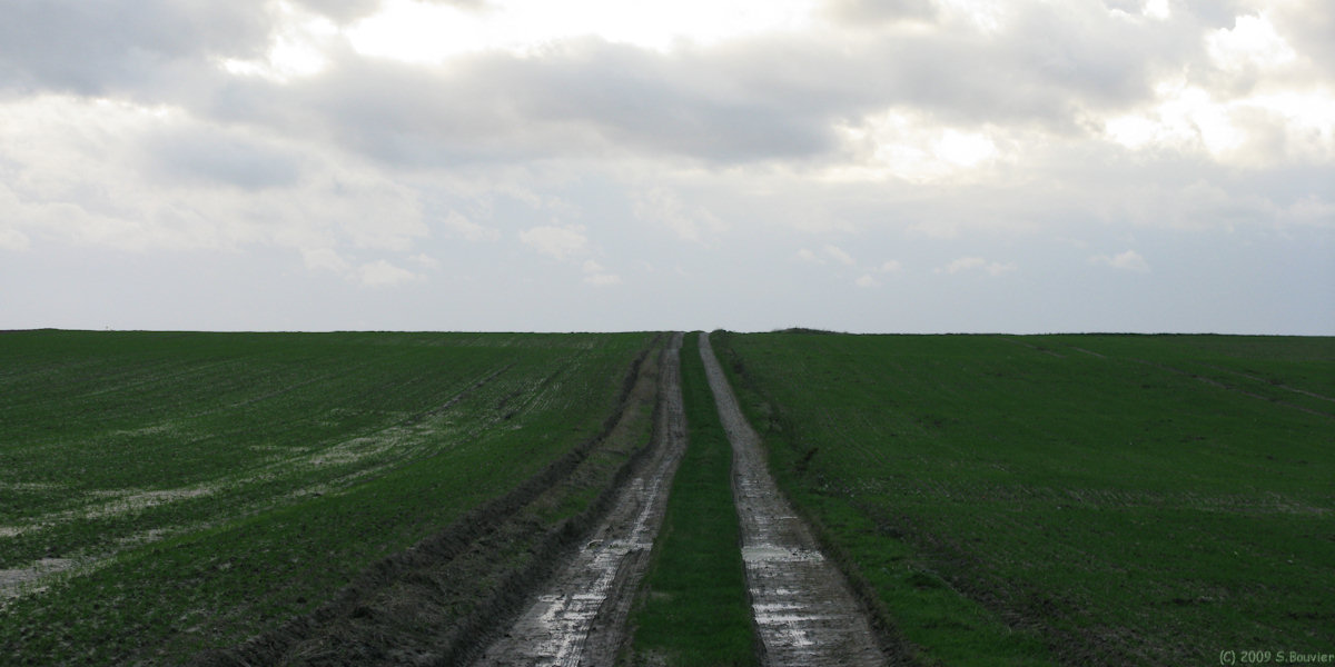 St Martin le Gaillard (Chemin 2)
