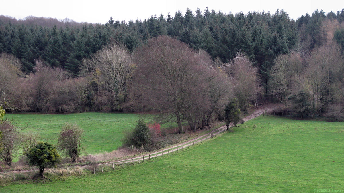 Le Mesnil Réaume (Gomare)