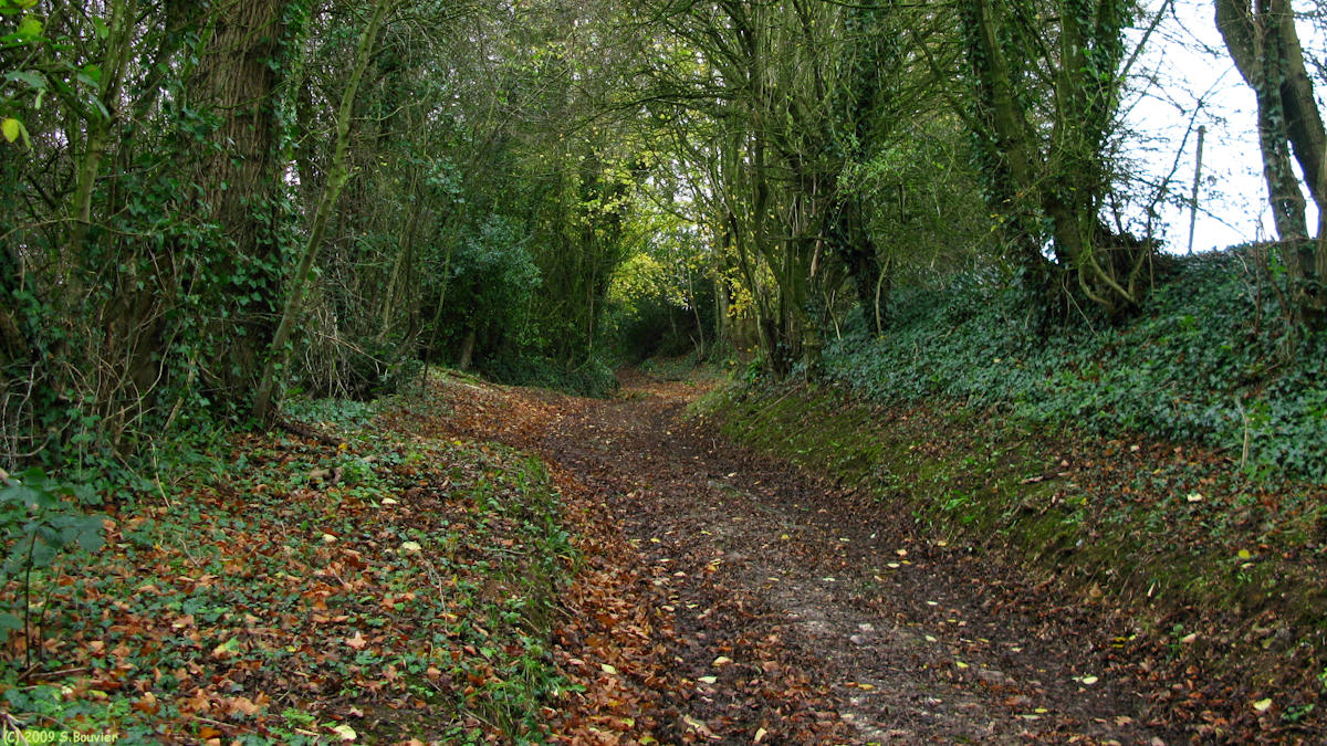 Le Mesnil Réaume (Chemin)