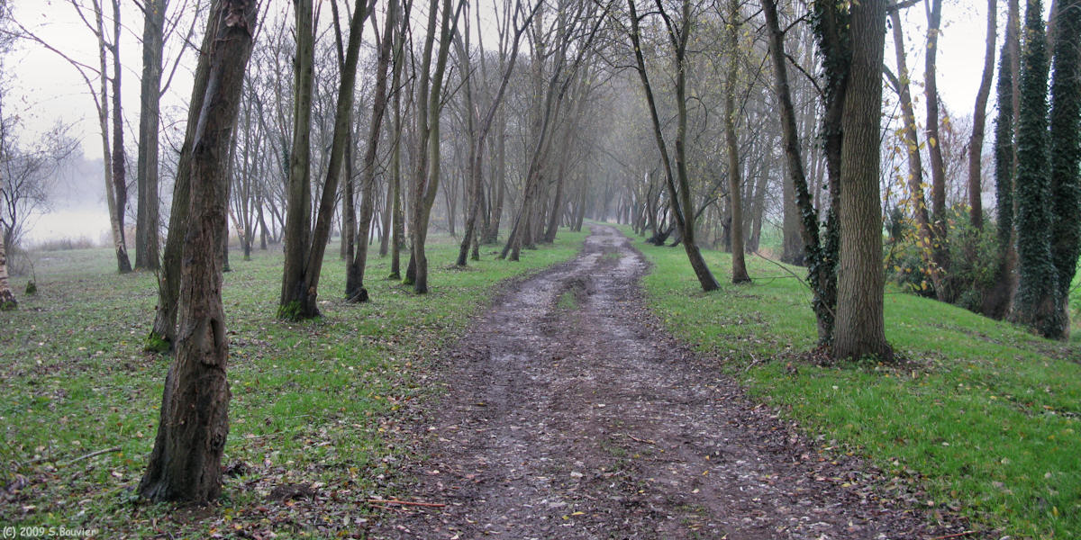 Ponts et Marais (Chemin)