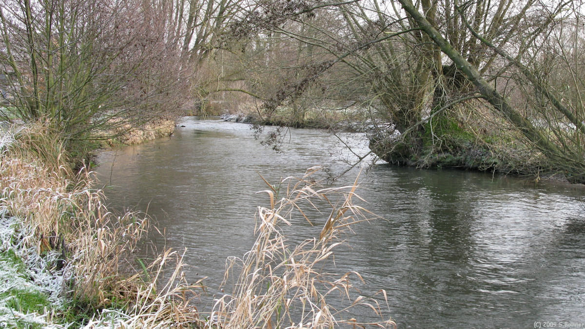 Beauchamps (Bresle 1)