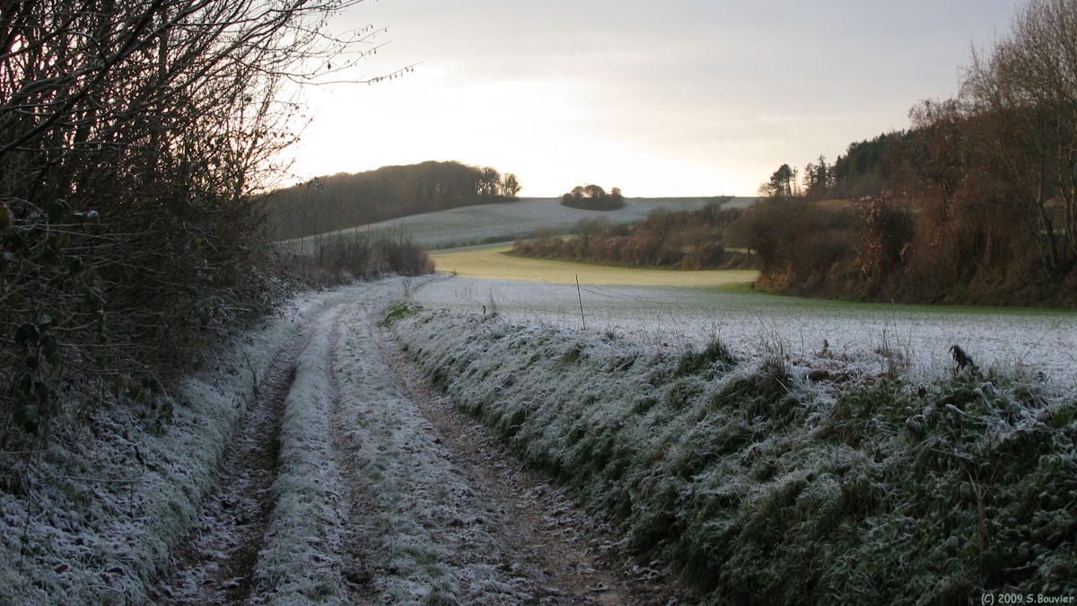 Bouvaincourt sur Bresle (Chemin)