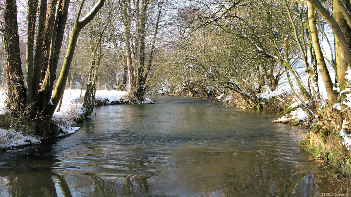 Crosville sur Scie (Scie)