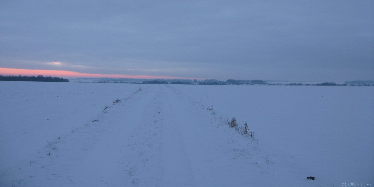 Anneville sur Scie (Chemin)
