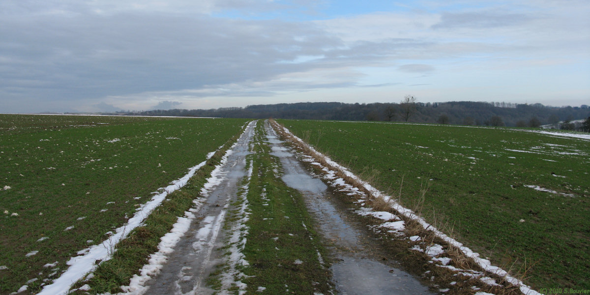 Sauqueville (Chemin)