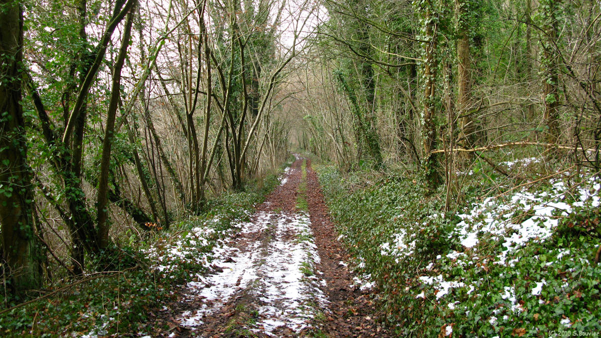 Hermanville (Chemin 1)