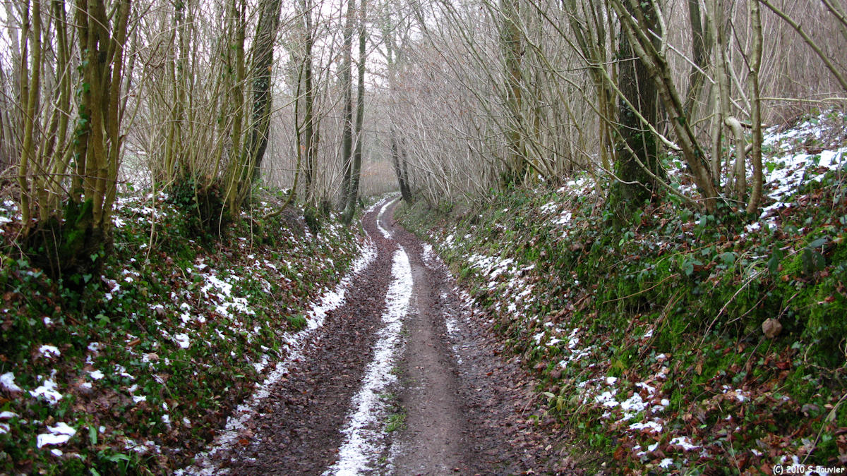 Hermanville (Chemin 2)
