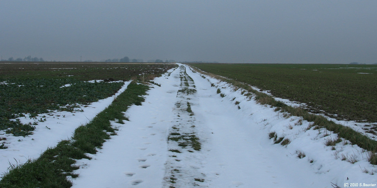 Gueures (Chemin)