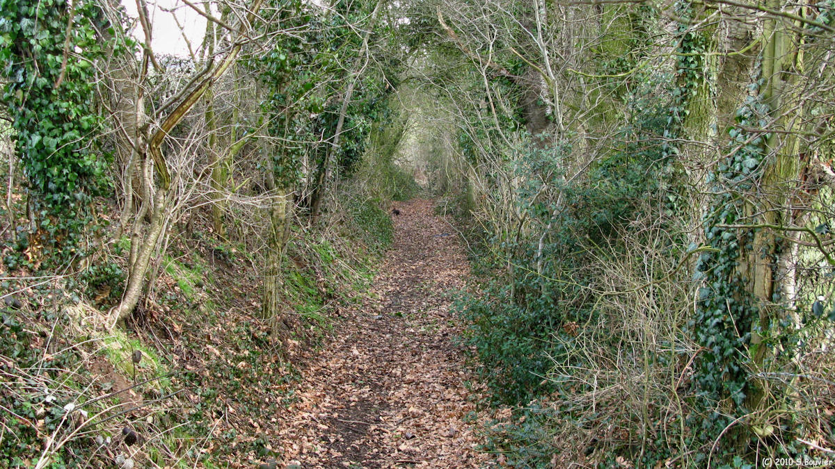 Thil Manneville (Chemin)